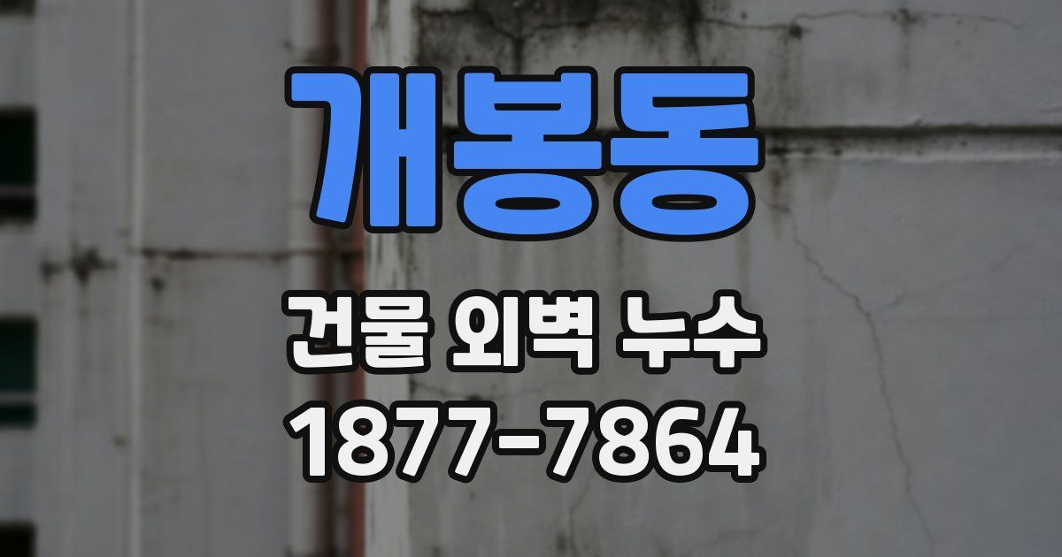 개봉동 건물 외벽 누수