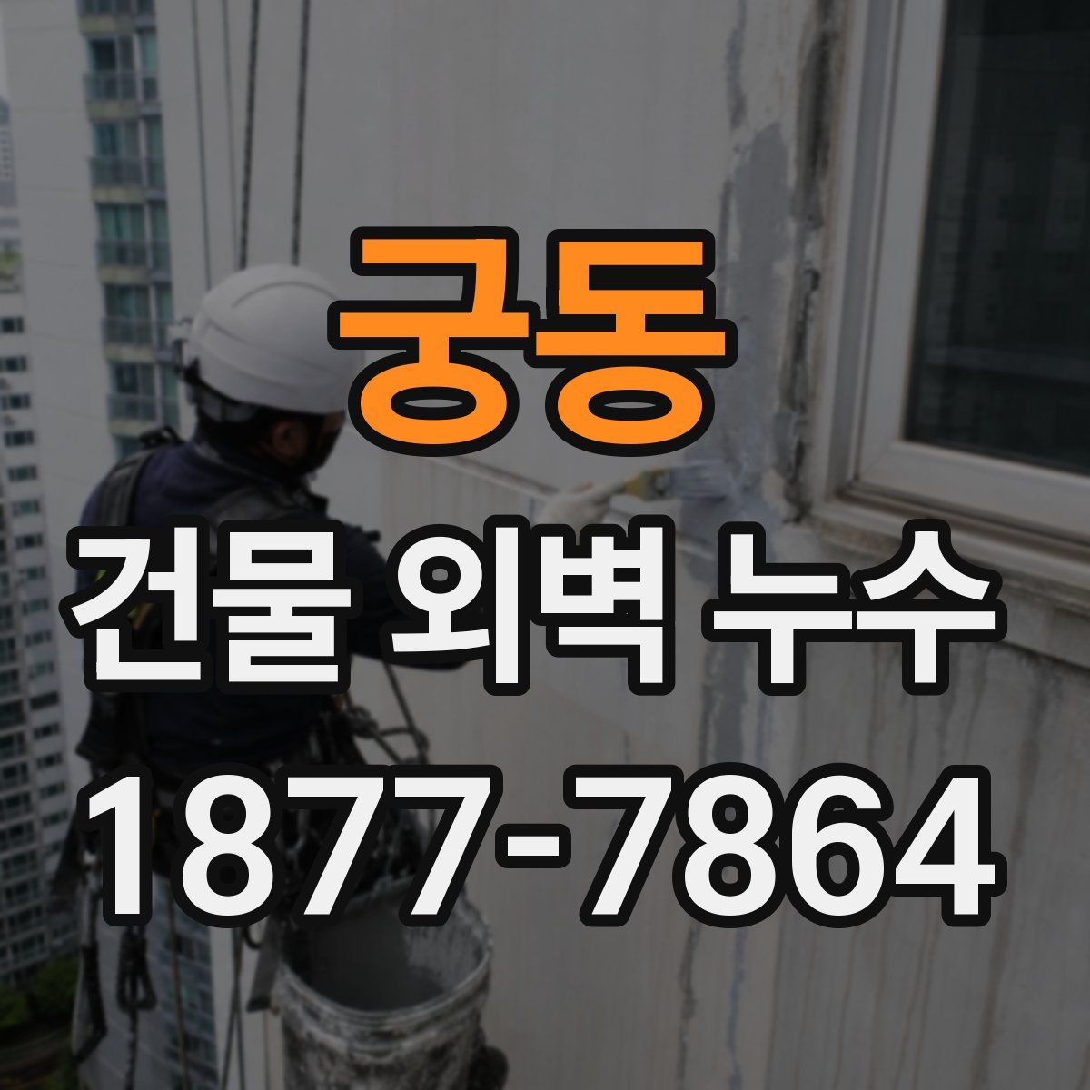 궁동 건물 외벽 누수