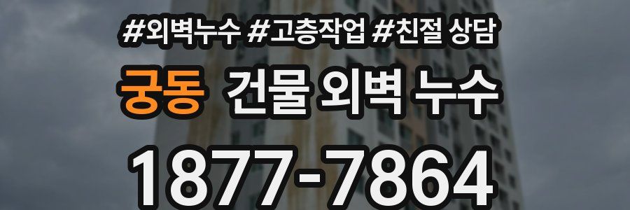 궁동 건물 외벽 누수