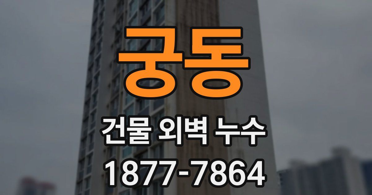 궁동 건물 외벽 누수