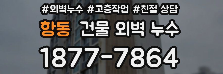 항동 건물 외벽 누수
