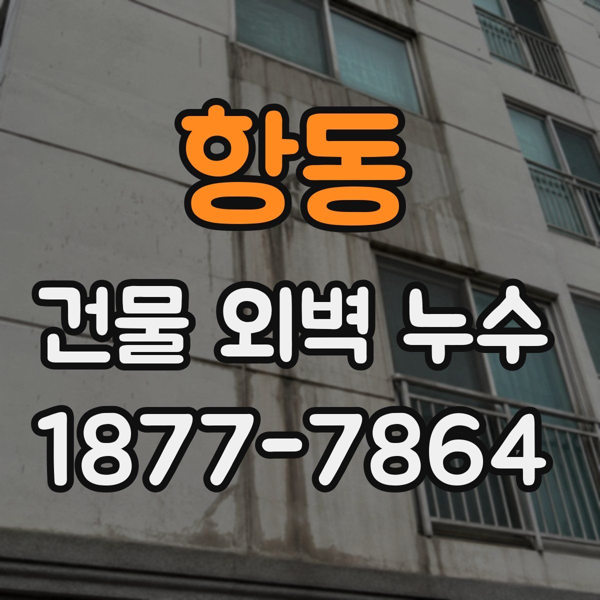 항동 건물 외벽 누수