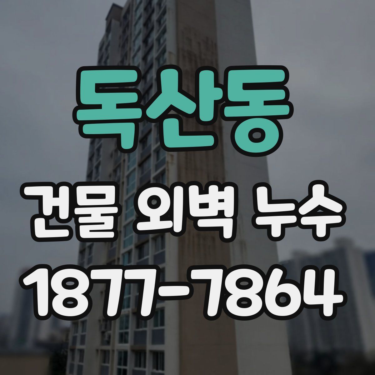 독산동 건물 외벽 누수