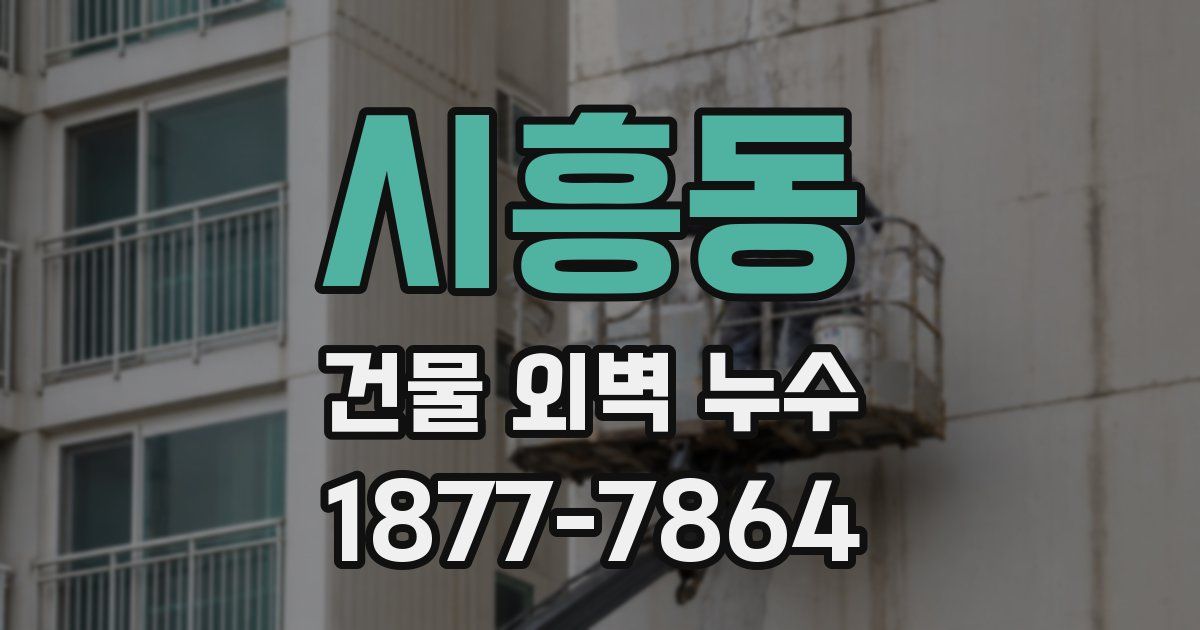 시흥동 건물 외벽 누수