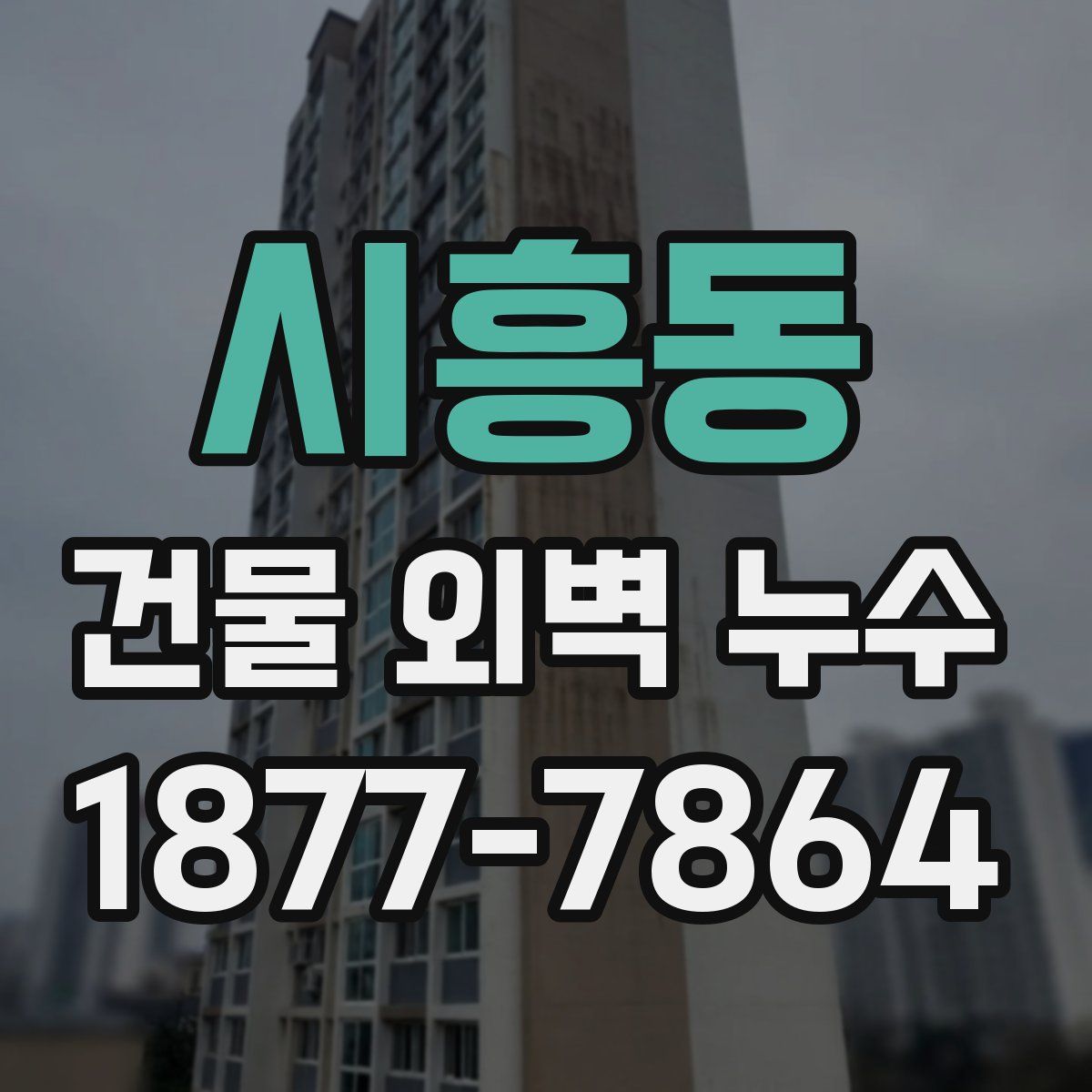시흥동 건물 외벽 누수
