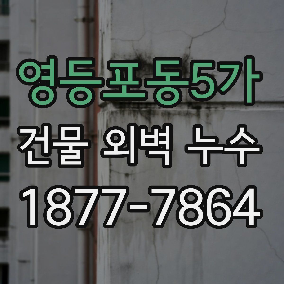 영등포동5가 건물 외벽 누수