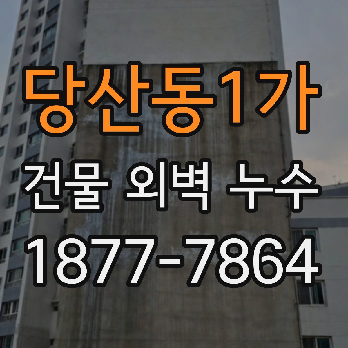 당산동1가 건물 외벽 누수