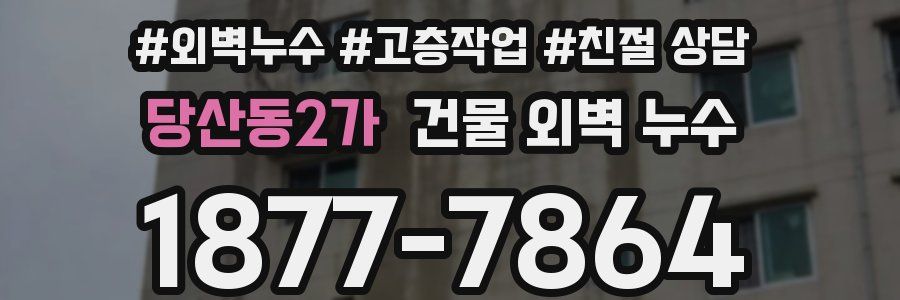 당산동2가 건물 외벽 누수