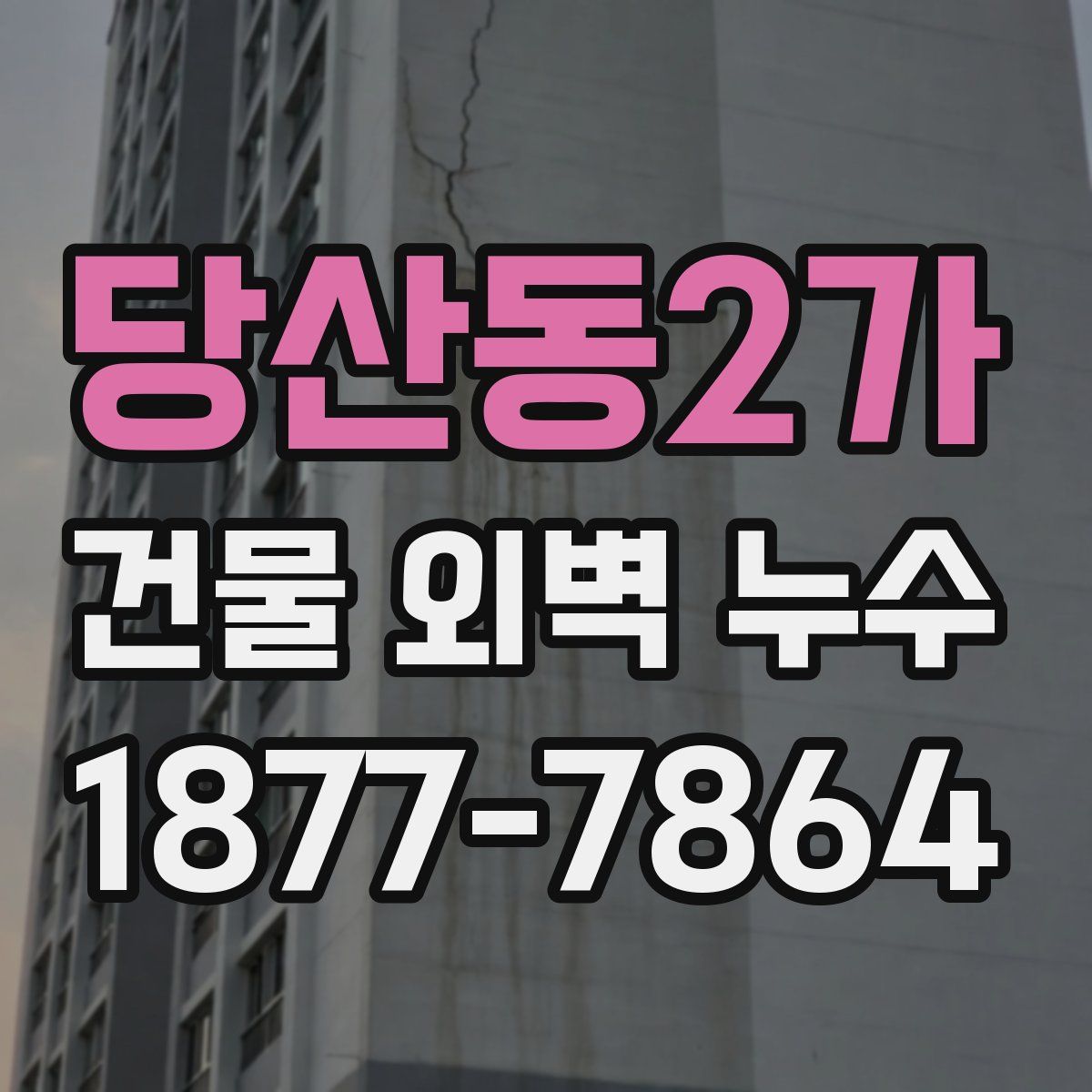 당산동2가 건물 외벽 누수
