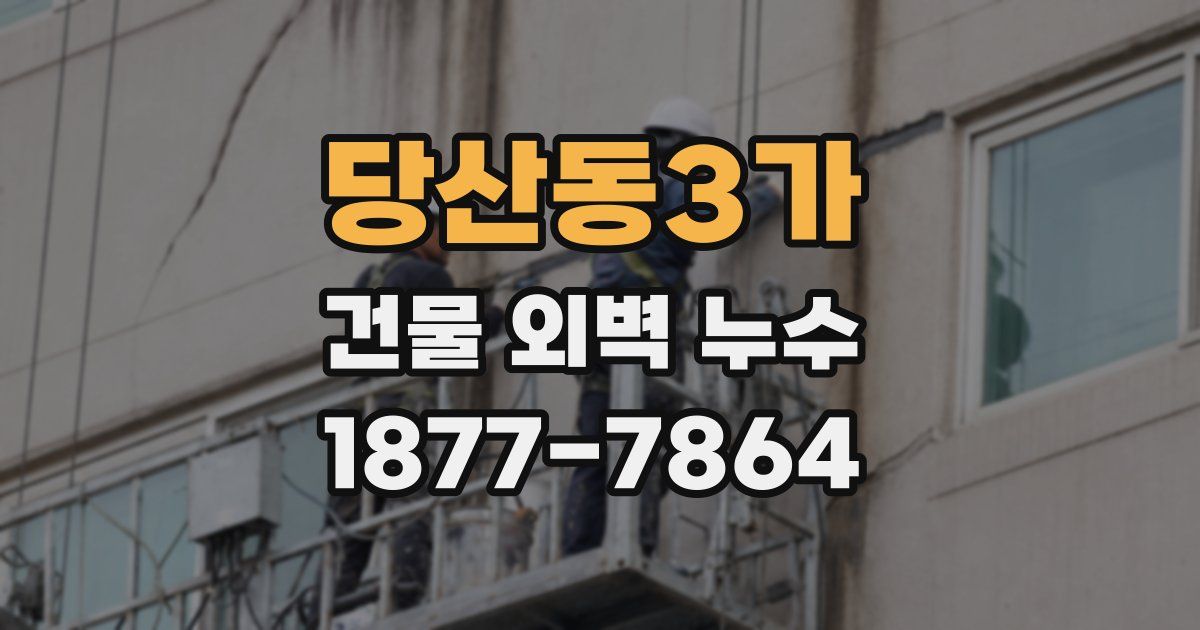 당산동3가 건물 외벽 누수