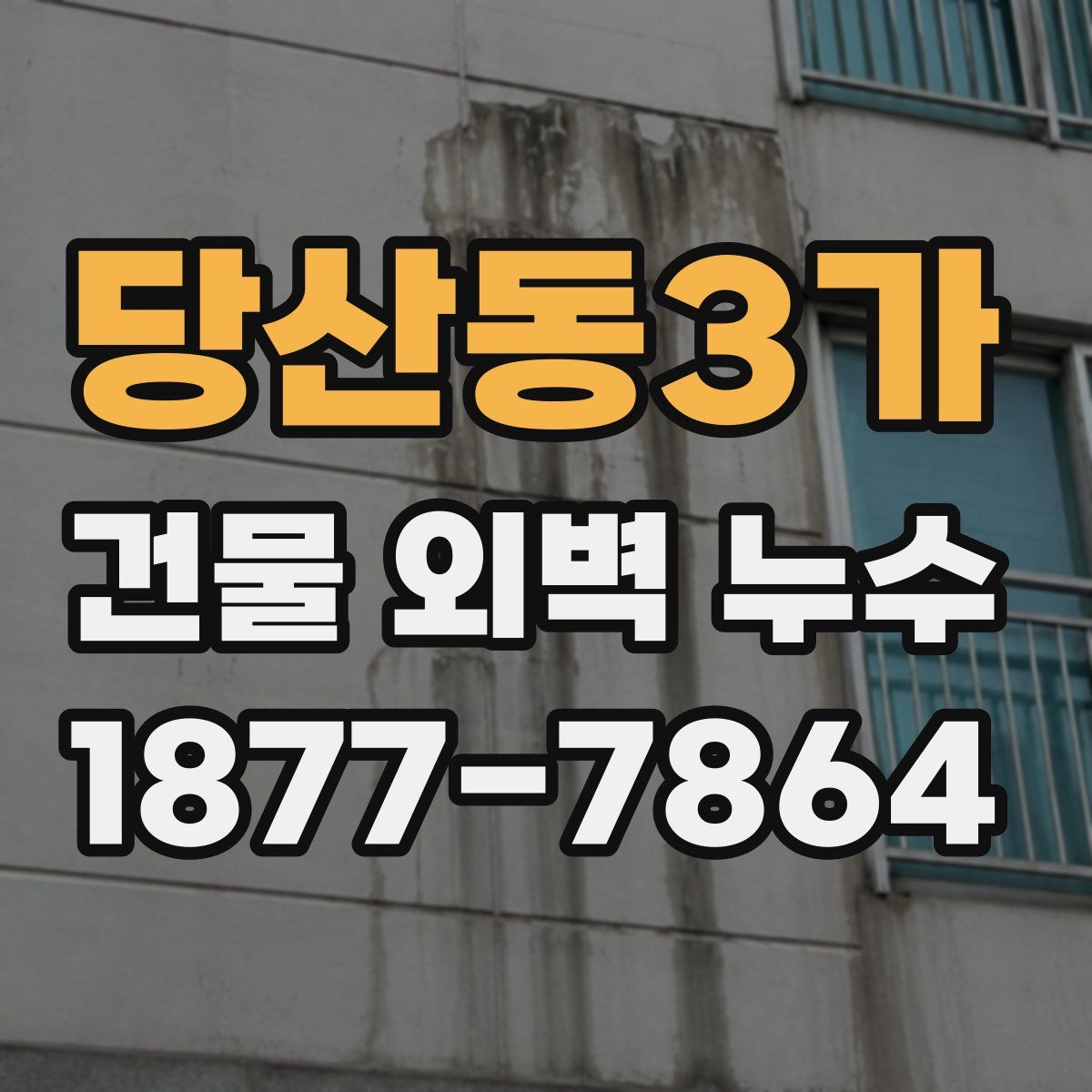 당산동3가 건물 외벽 누수
