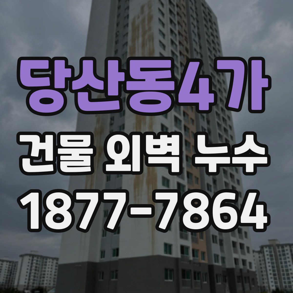 당산동4가 건물 외벽 누수