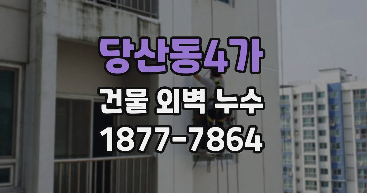 당산동4가 건물 외벽 누수