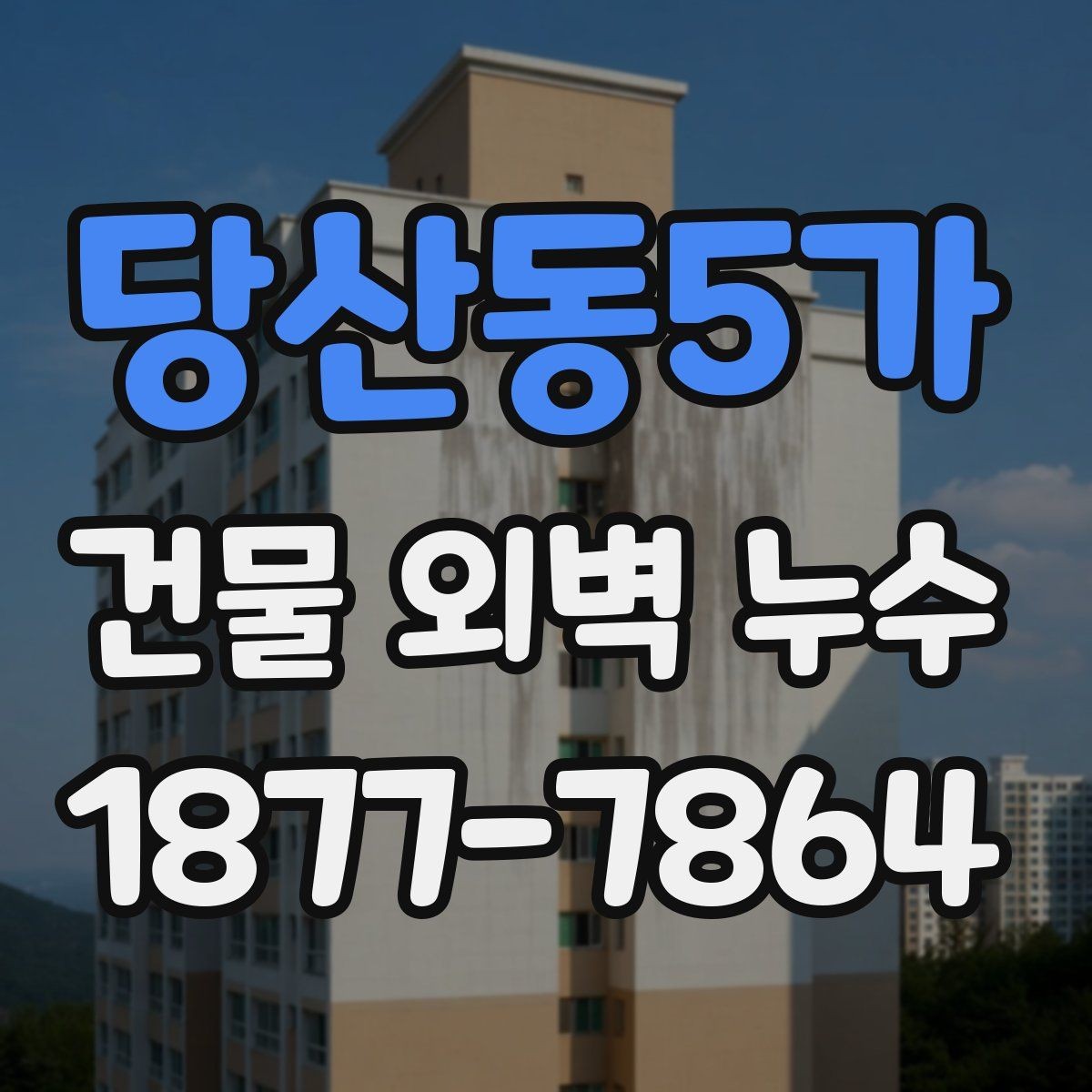 당산동5가 건물 외벽 누수 원인 찾는 현장 점검 팁