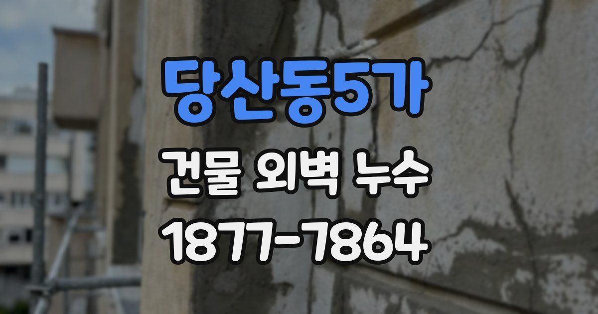 당산동5가 건물 외벽 누수