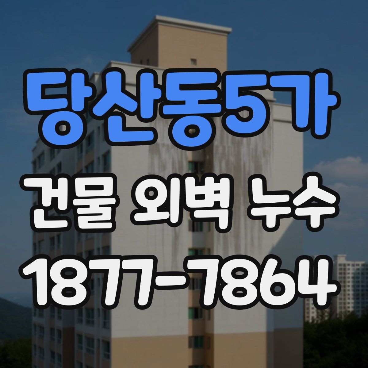 당산동5가 건물 외벽 누수