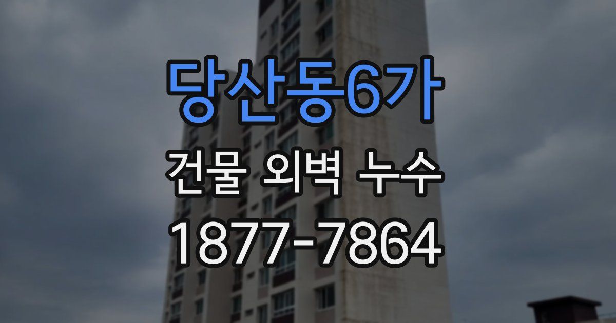 당산동6가 건물 외벽 누수