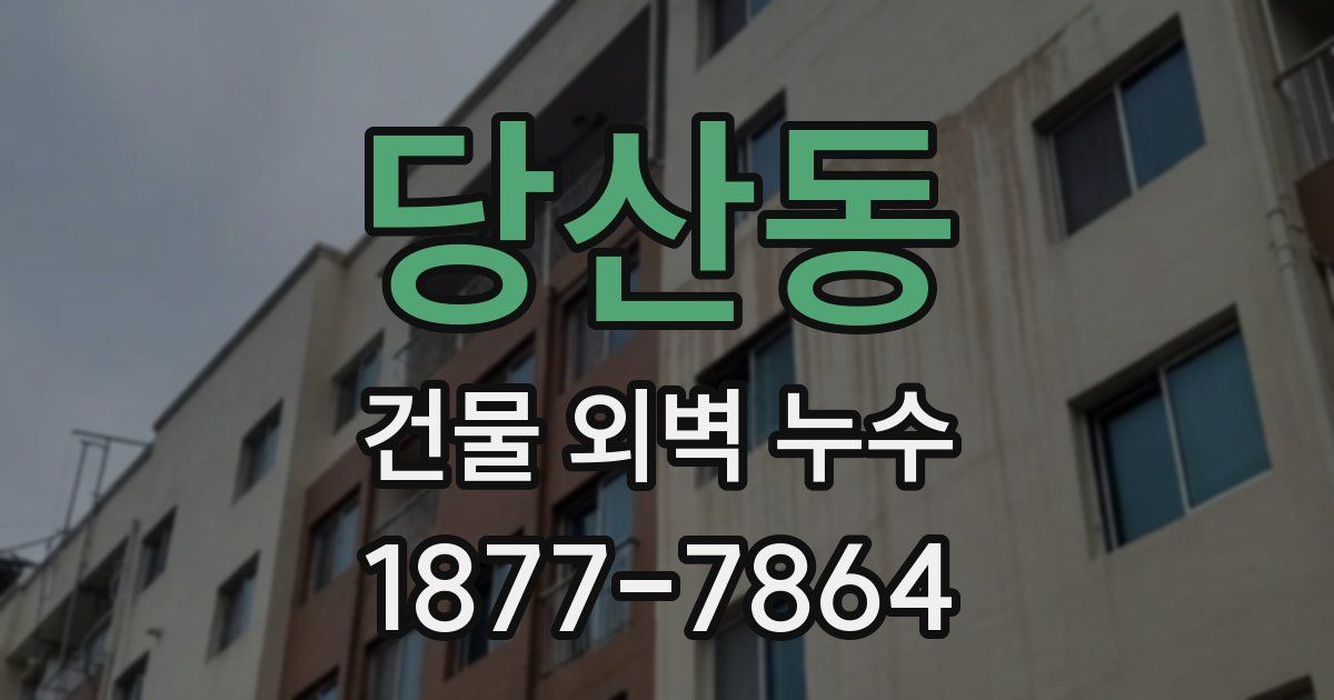 당산동 건물 외벽 누수