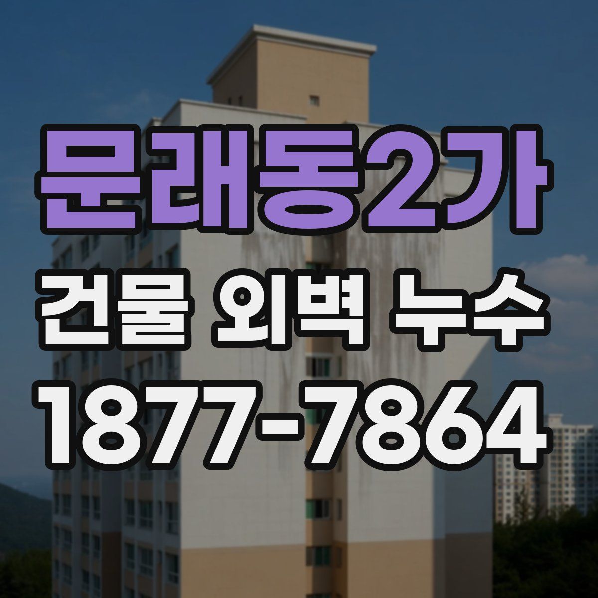 문래동2가 건물 외벽 누수