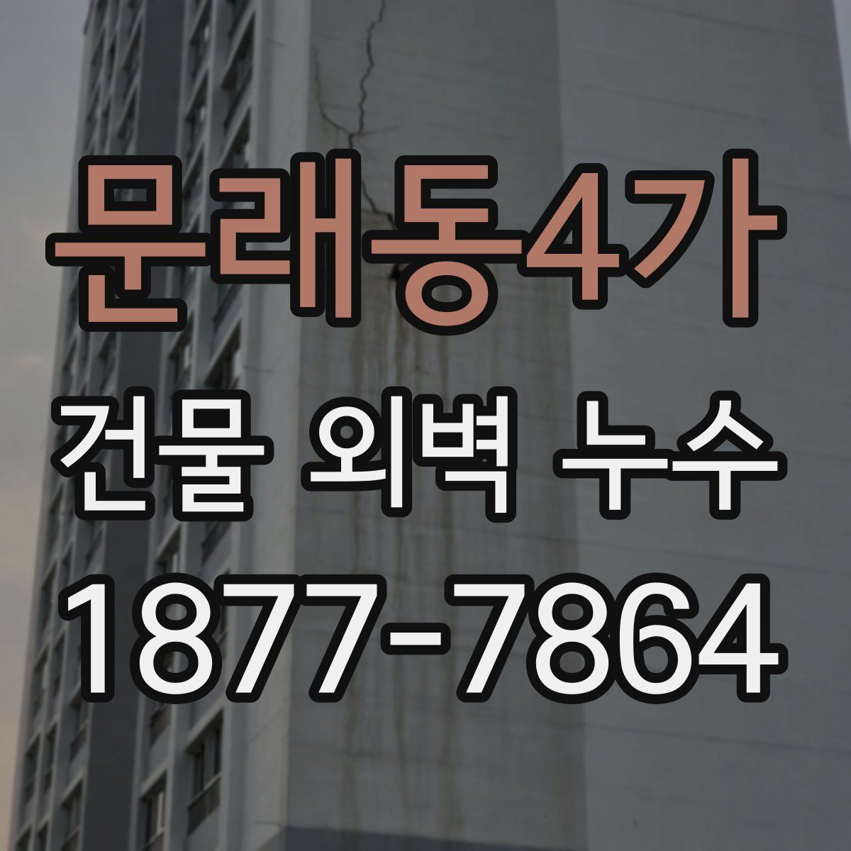 문래동4가 건물 외벽 누수