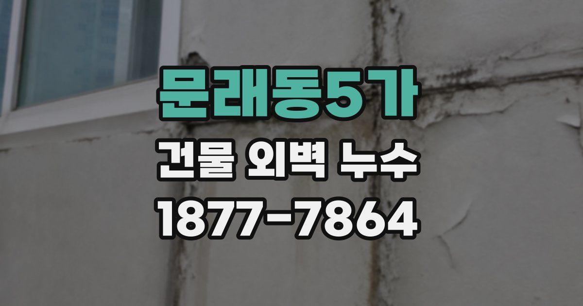 문래동5가 건물 외벽 누수