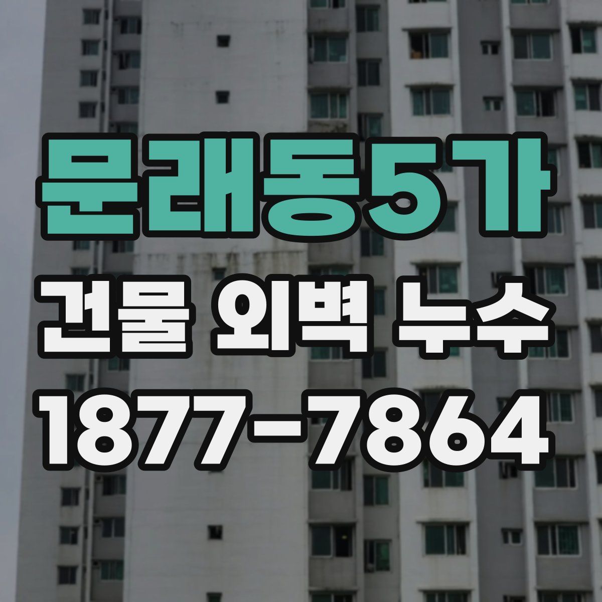 문래동5가 건물 외벽 누수