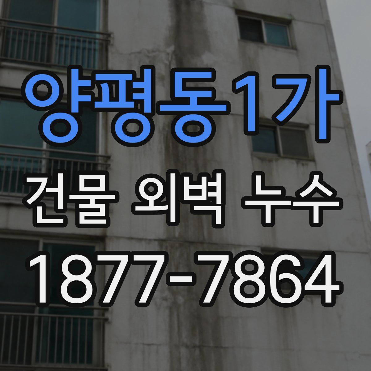 양평동1가 건물 외벽 누수