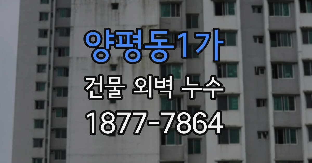 양평동1가 건물 외벽 누수