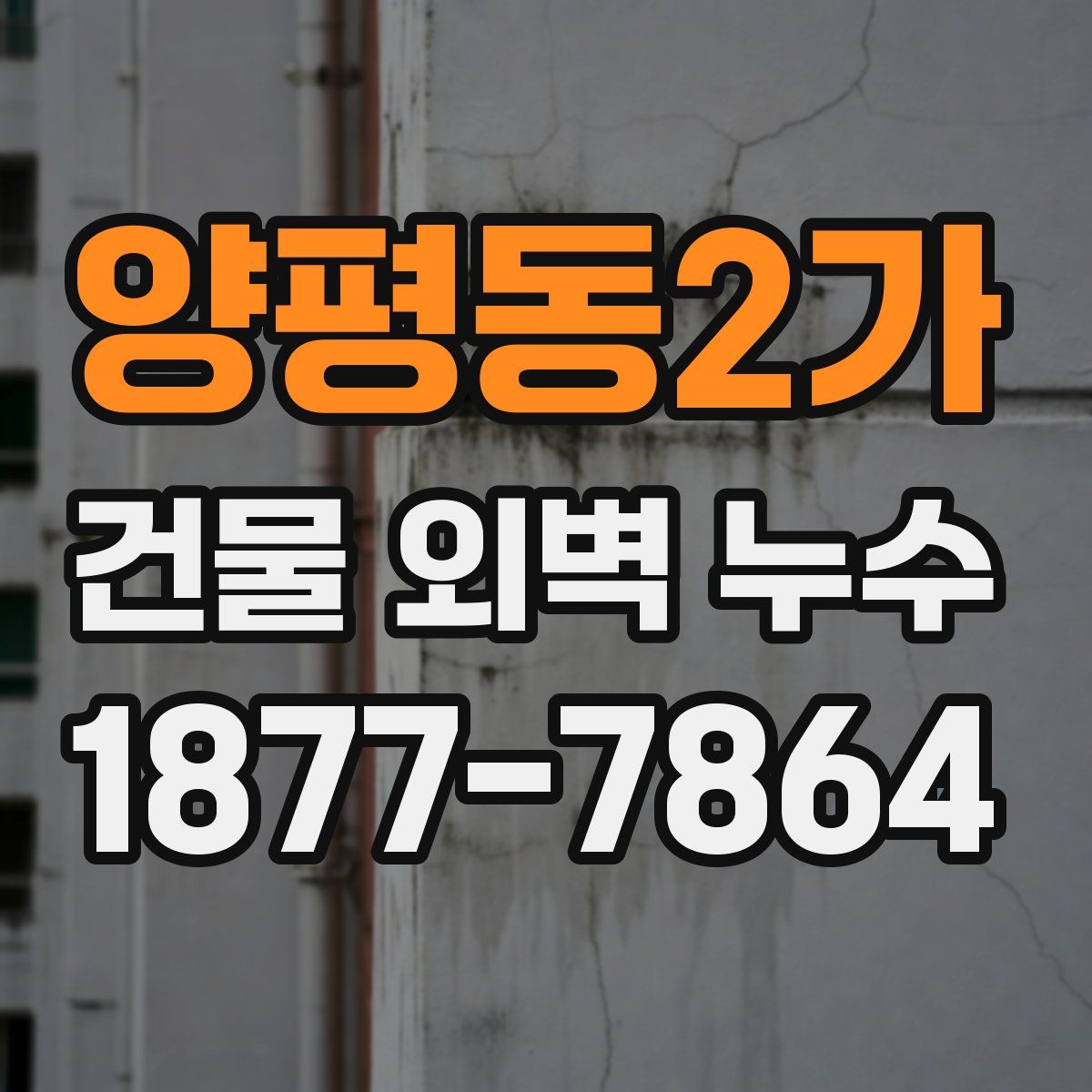 양평동2가 건물 외벽 누수