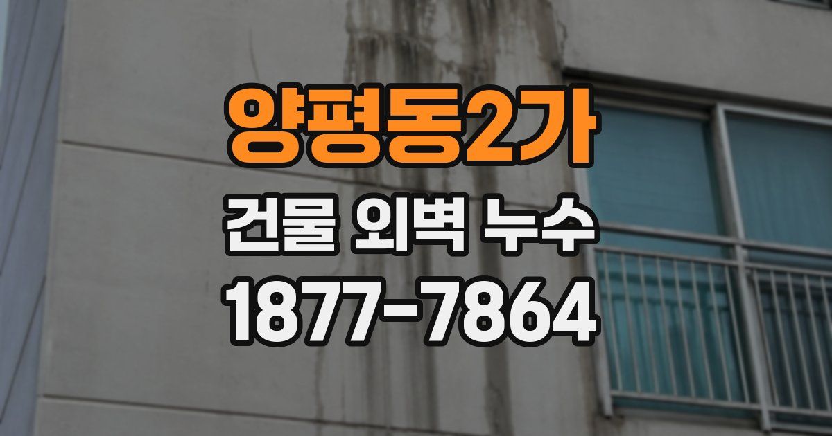 양평동2가 건물 외벽 누수