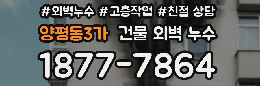 양평동3가 건물 외벽 누수