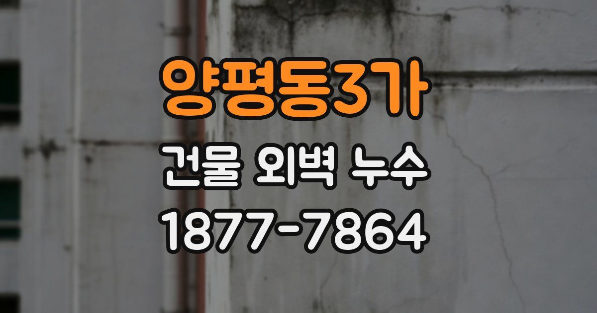양평동3가 건물 외벽 누수