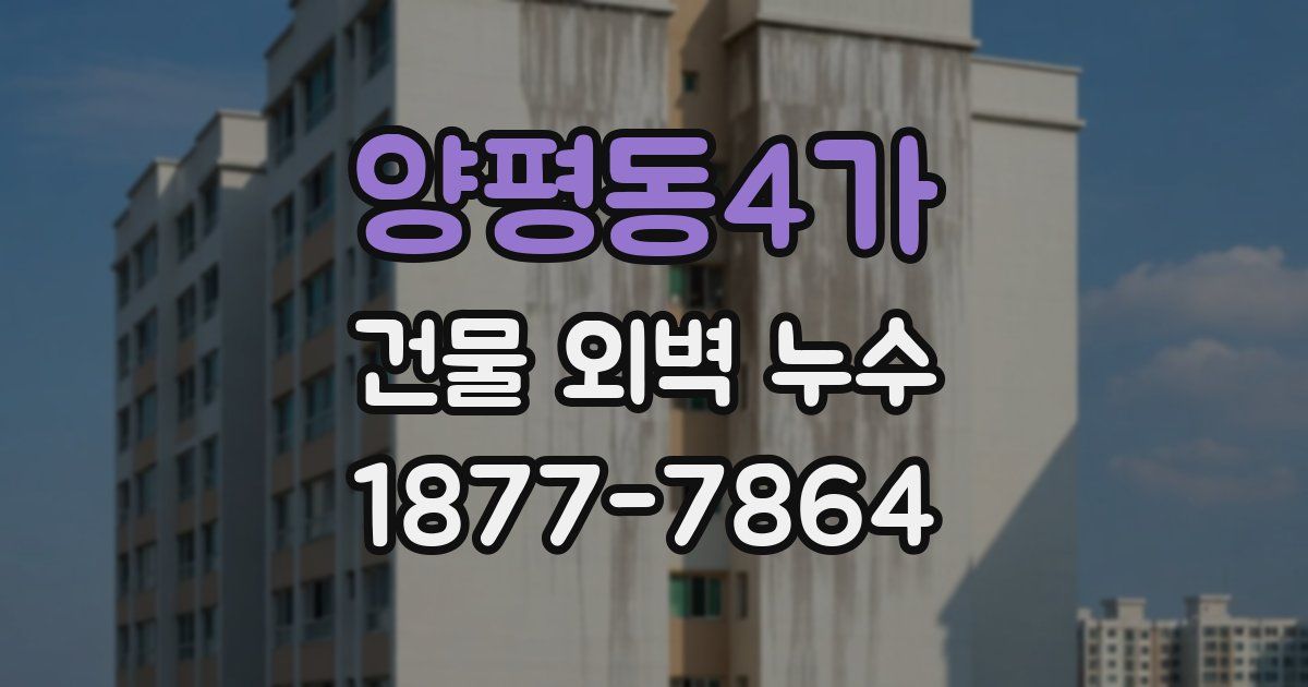 양평동4가 건물 외벽 누수