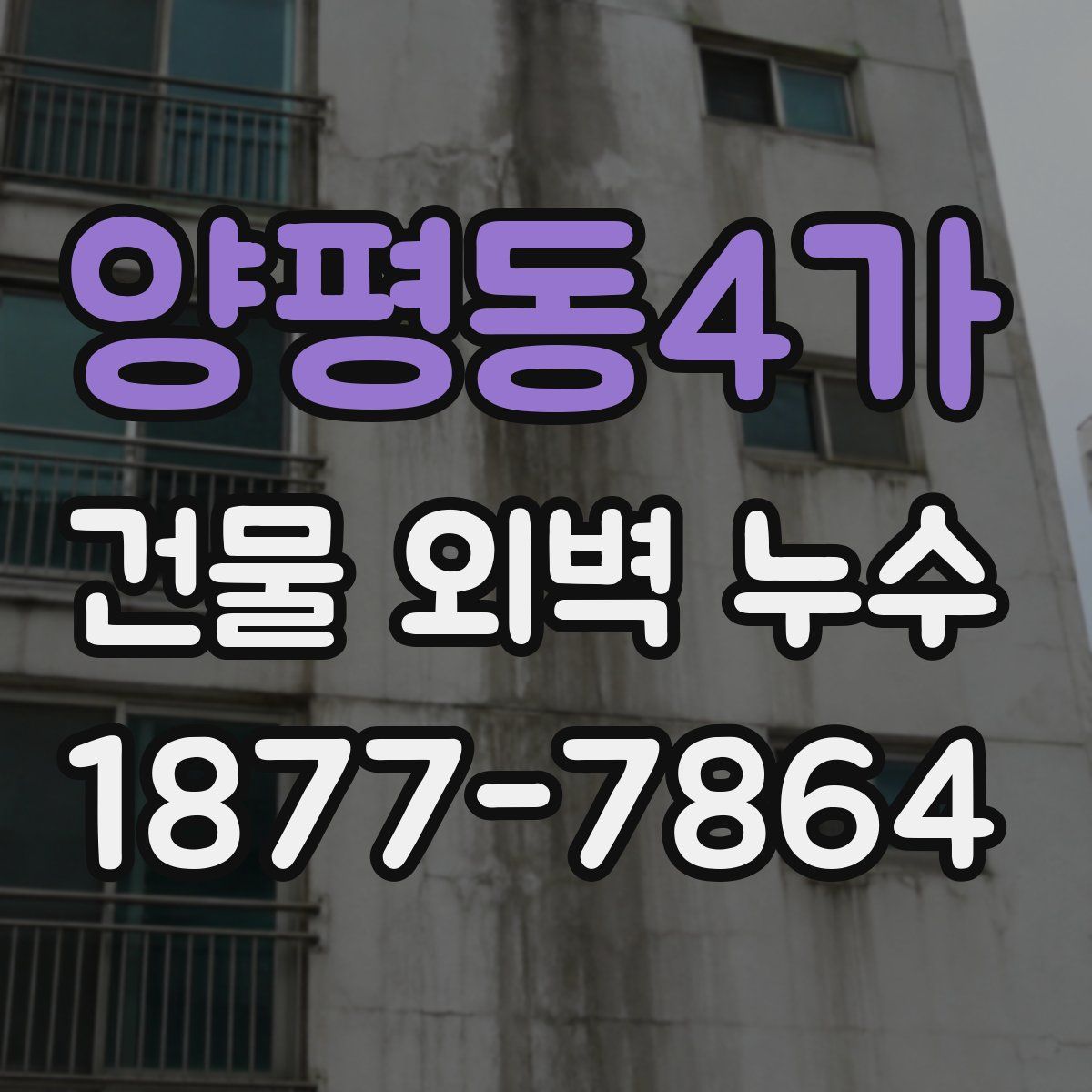 양평동4가 건물 외벽 누수