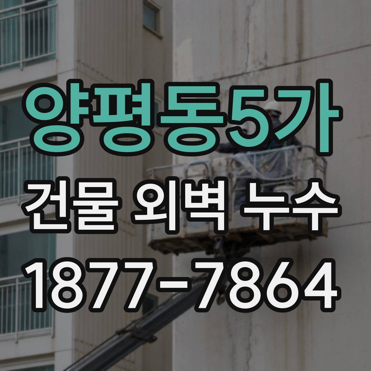 양평동5가 건물 외벽 누수