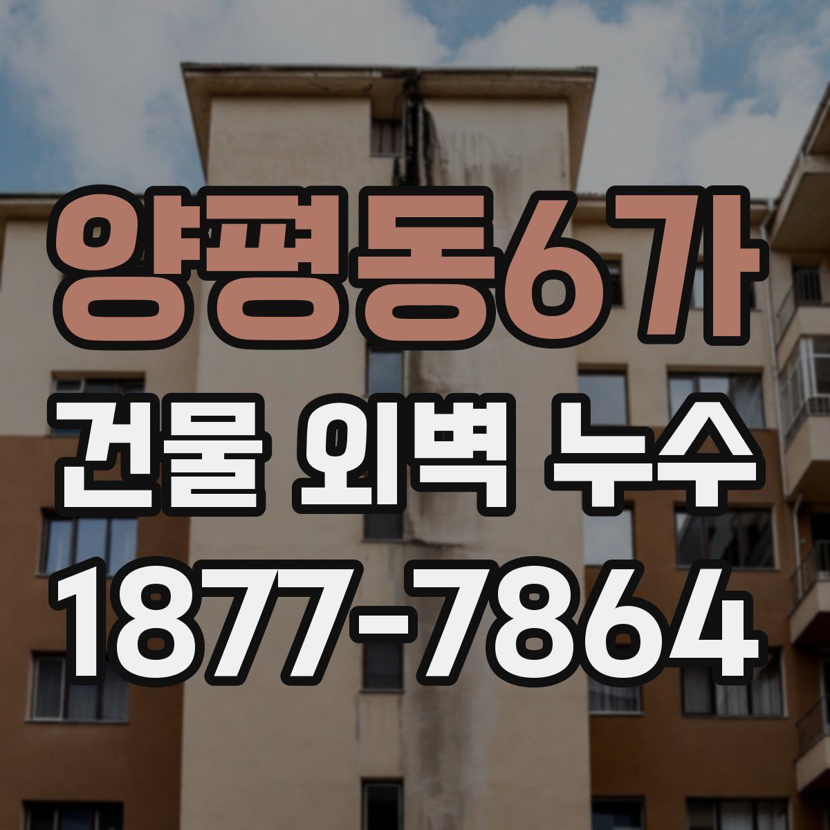 양평동6가 건물 외벽 누수