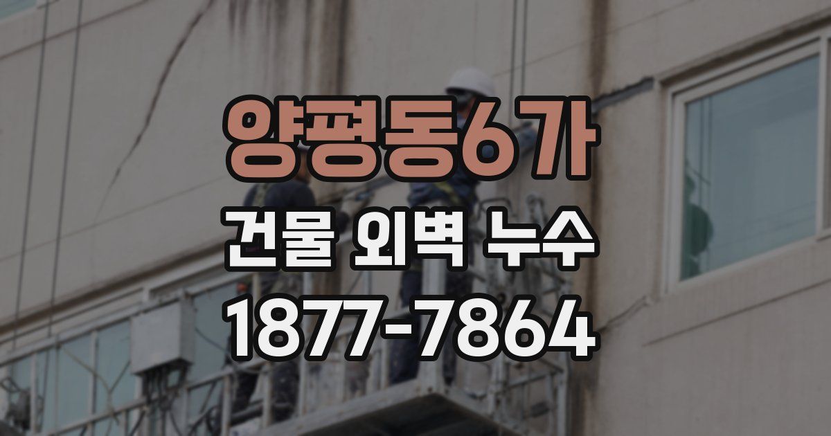 양평동6가 건물 외벽 누수