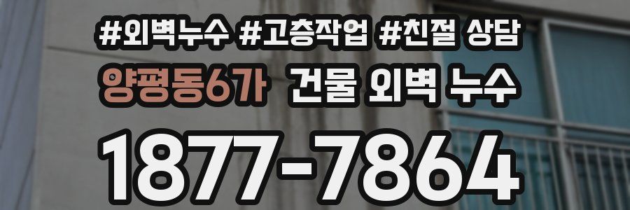 양평동6가 건물 외벽 누수
