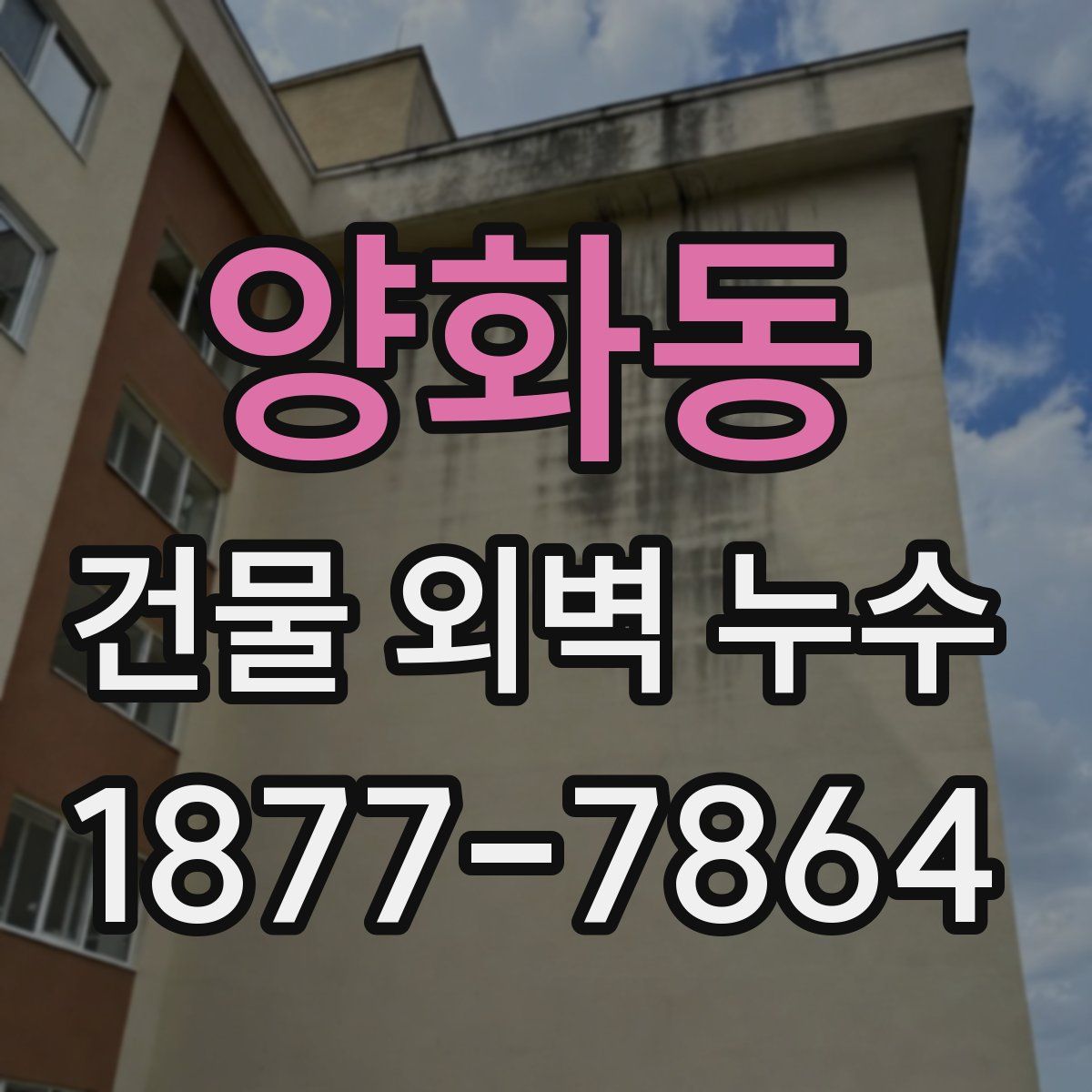 양화동 건물 외벽 누수