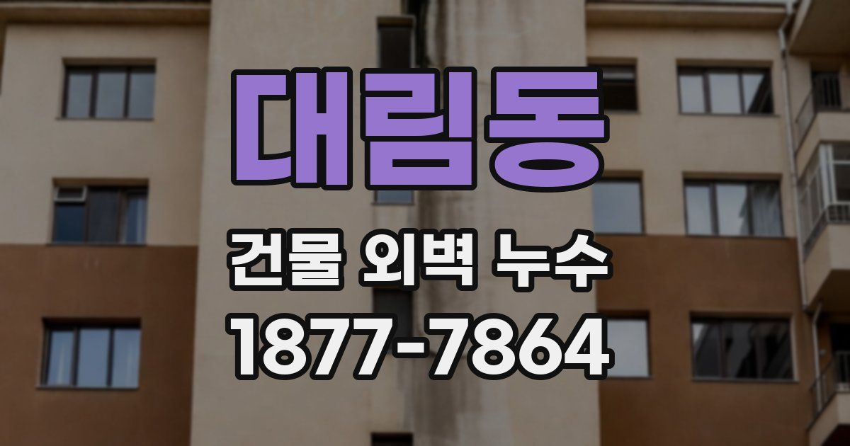 대림동 건물 외벽 누수