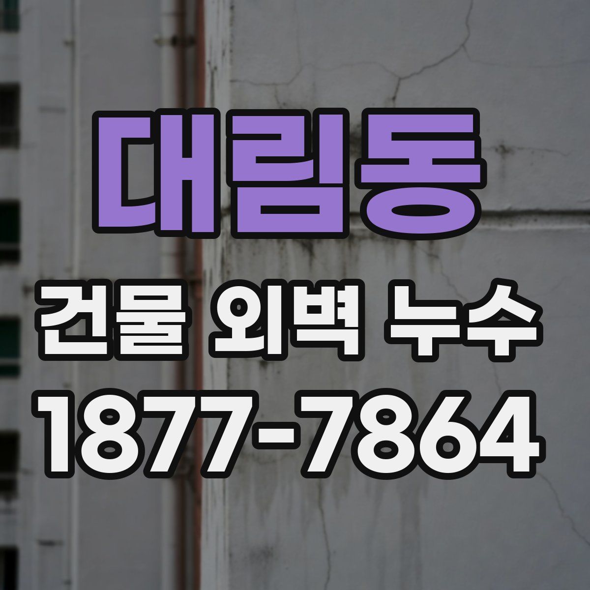 대림동 건물 외벽 누수