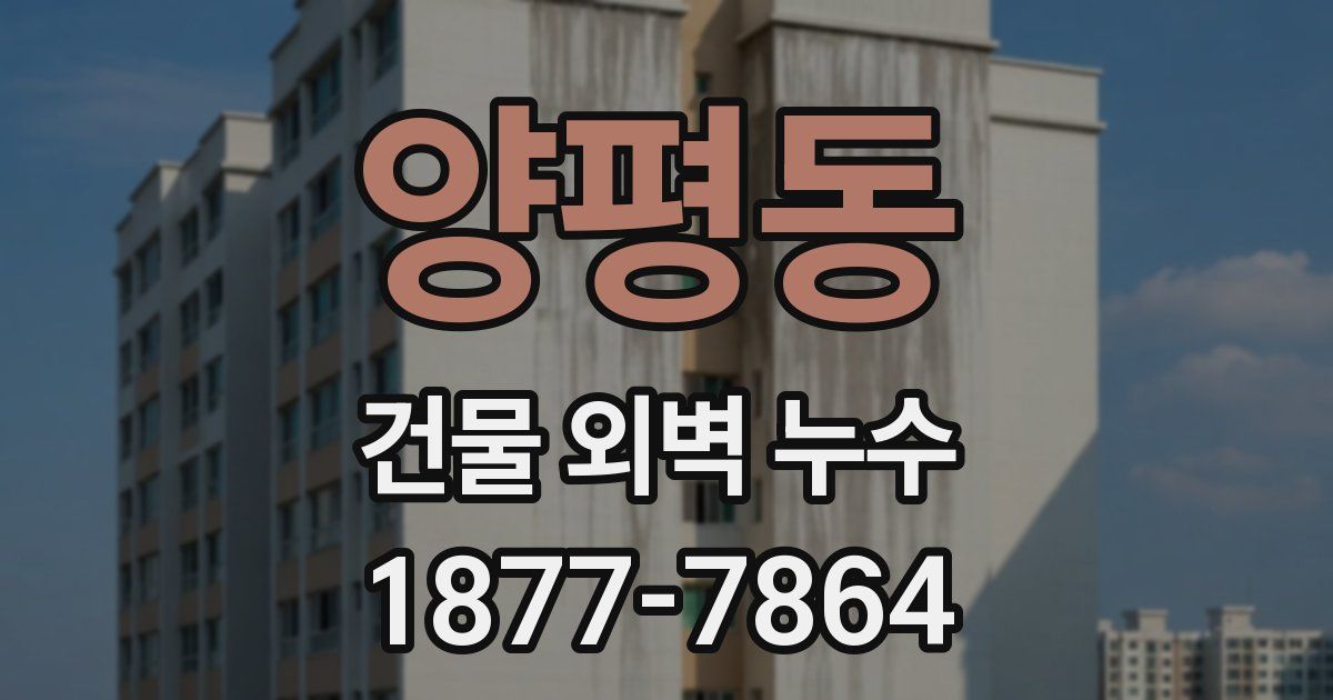 양평동 건물 외벽 누수