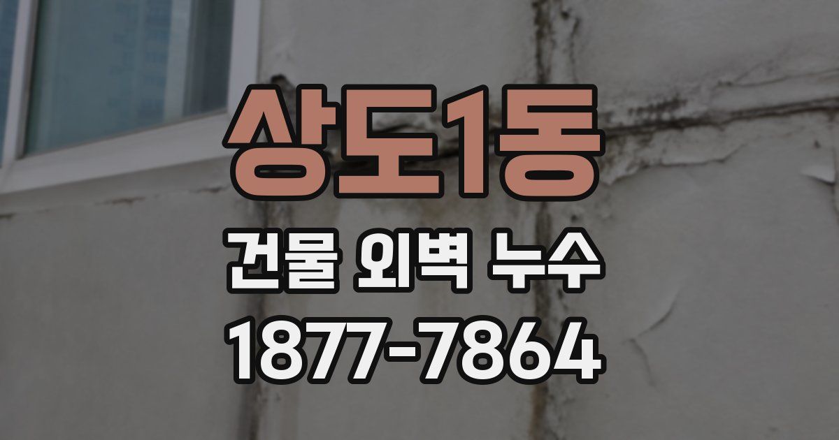 상도1동 건물 외벽 누수