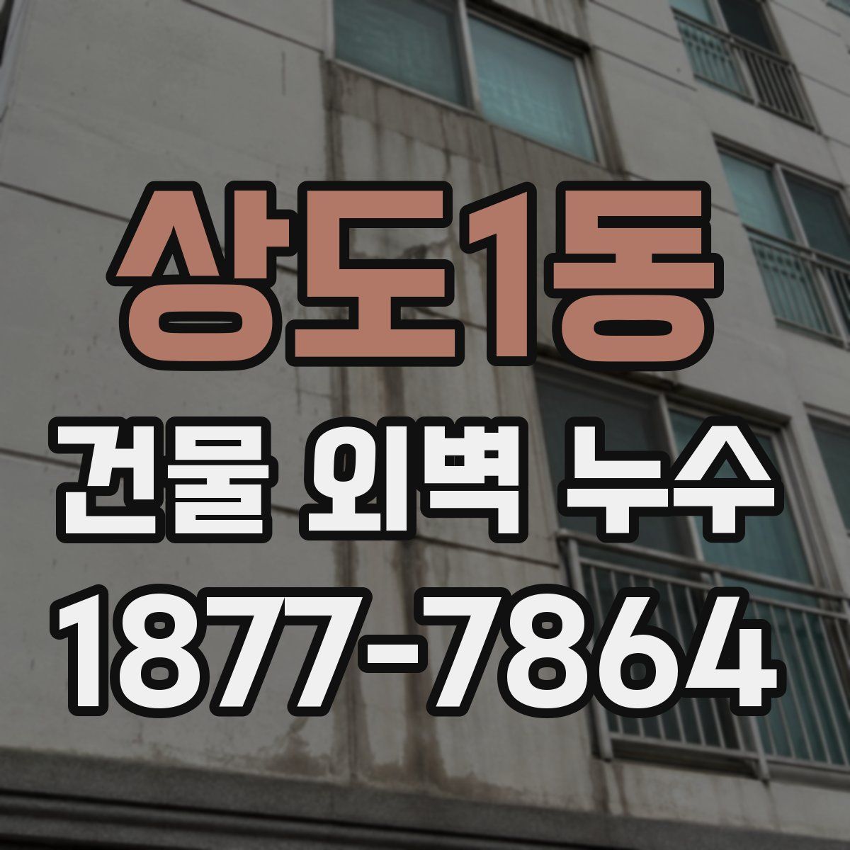 상도1동 건물 외벽 누수