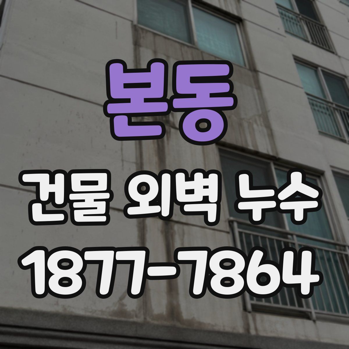 본동 건물 외벽 누수