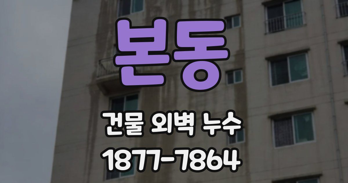 본동 건물 외벽 누수