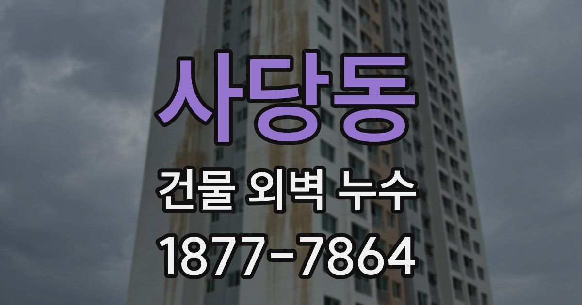 사당동 건물 외벽 누수