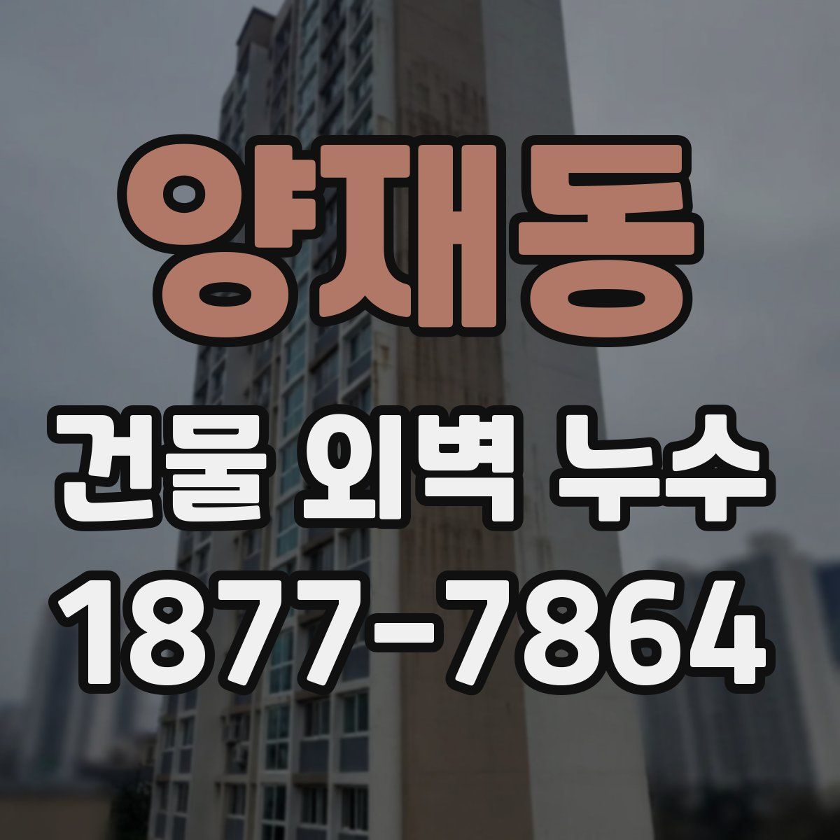 양재동 건물 외벽 누수