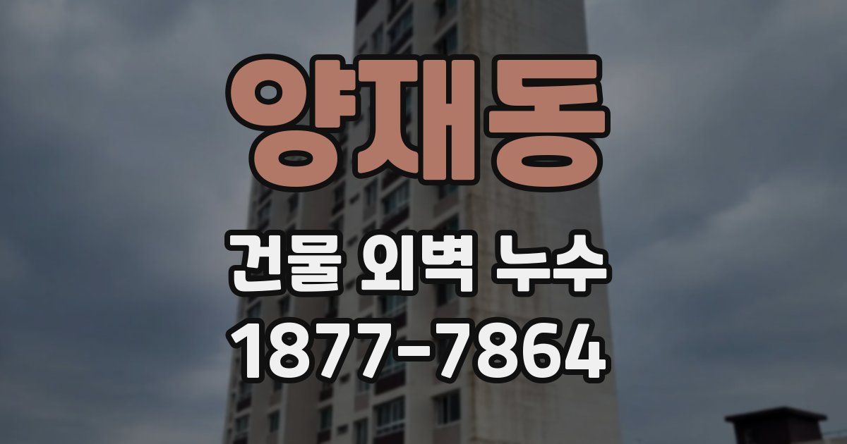 양재동 건물 외벽 누수