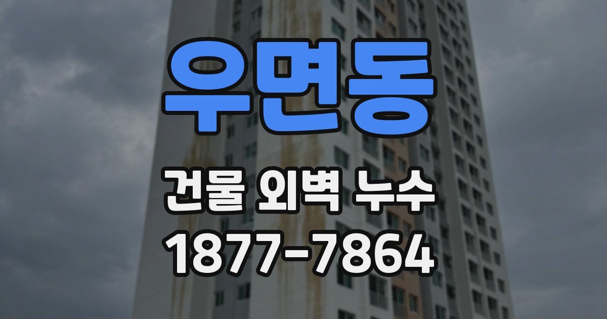 우면동 건물 외벽 누수